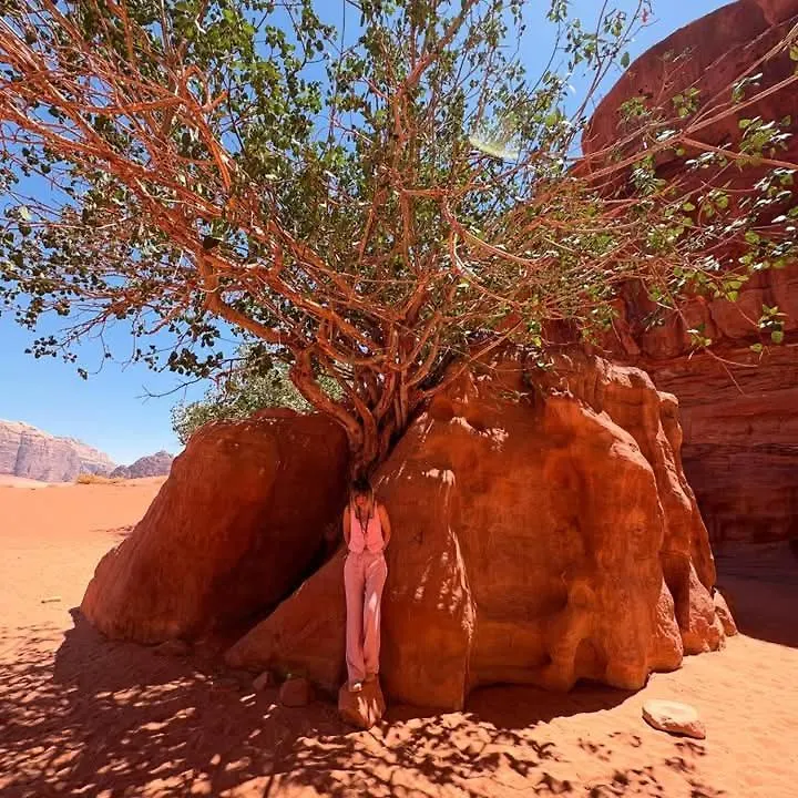 Wadi Rum Stella Camp Aqaba 0*,  Giordania